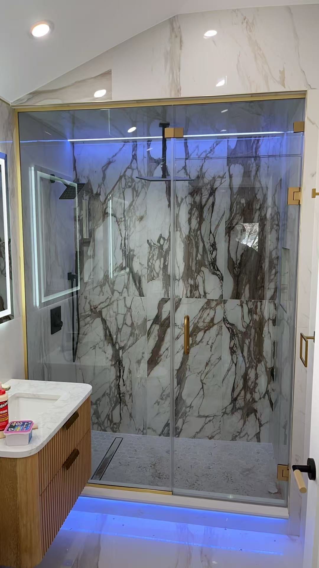 Shower Door